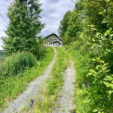 Ferie I Morgedal * Lii